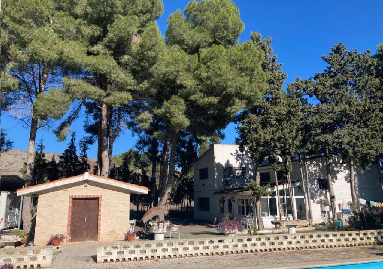 Habitacion En Casa Rural Particular El Palomar 比列纳 外观 照片