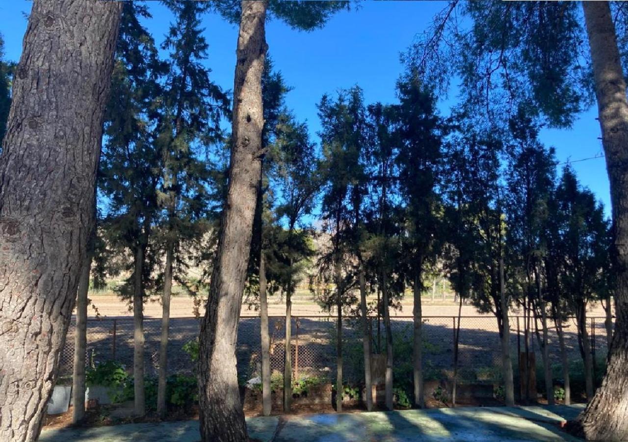 Habitacion En Casa Rural Particular El Palomar 比列纳 外观 照片